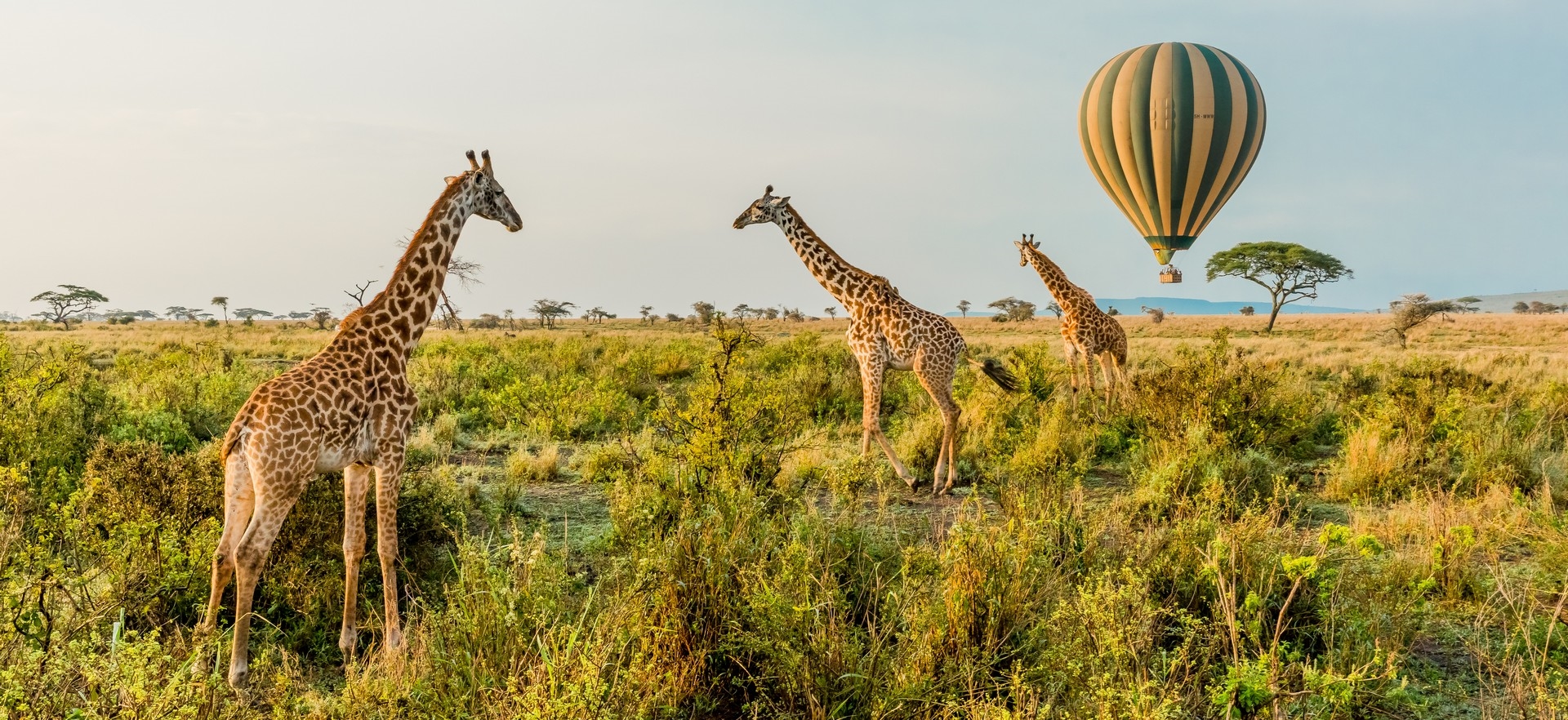 Tanzania & Rwanda